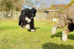 2022-01-28-Milou-Fiete-2-scaled