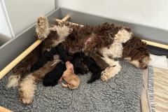 07165aa3-b134-4ea2-ae0a-5553496ec3eb