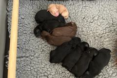 97e5c420-9c71-4171-9f37-4fdd831e27f8