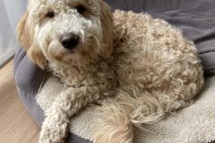 IMG_1502-scaled-e1668964441915